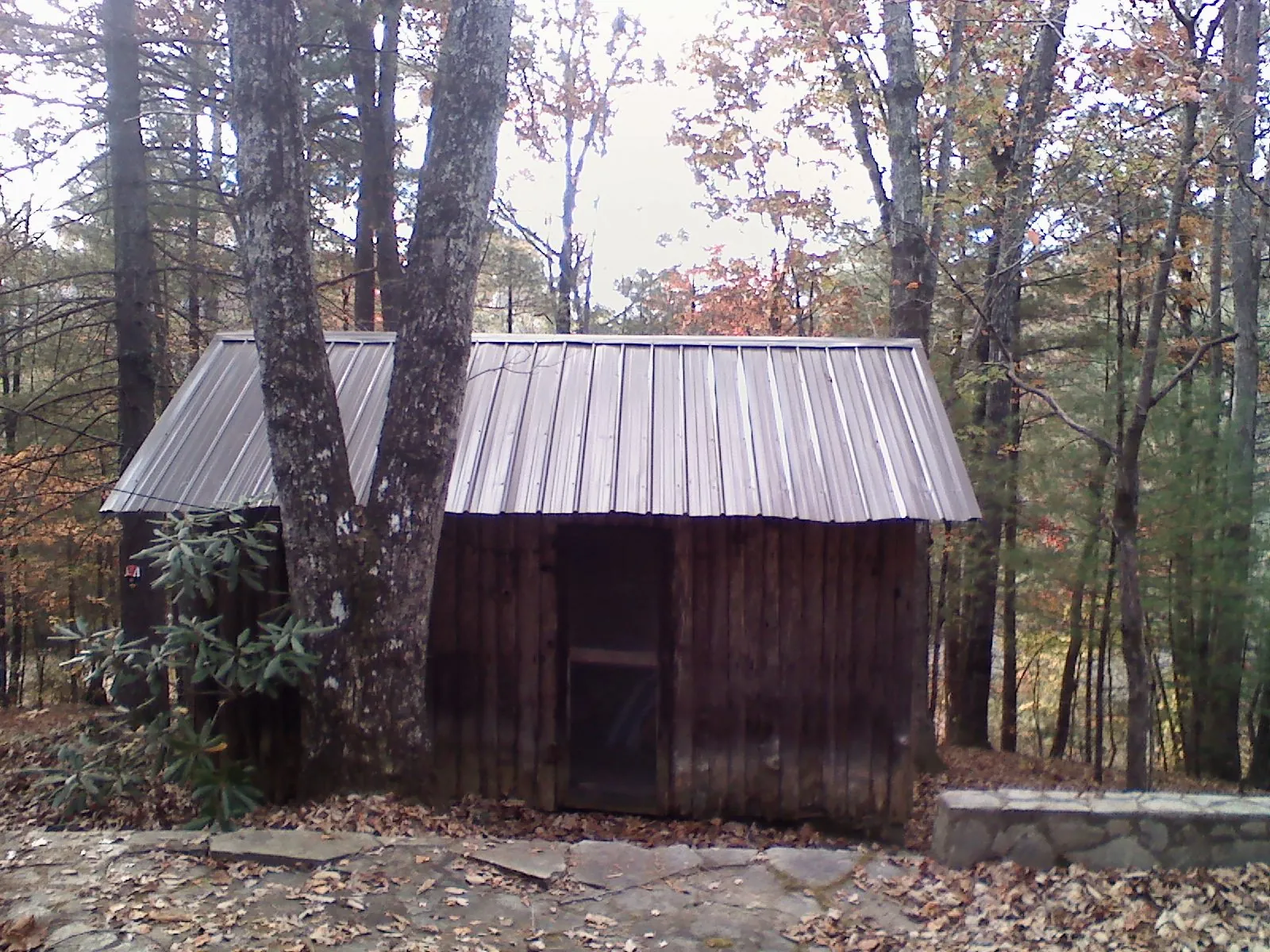 New metal gable roof on a small log shed among the trees in Gaines